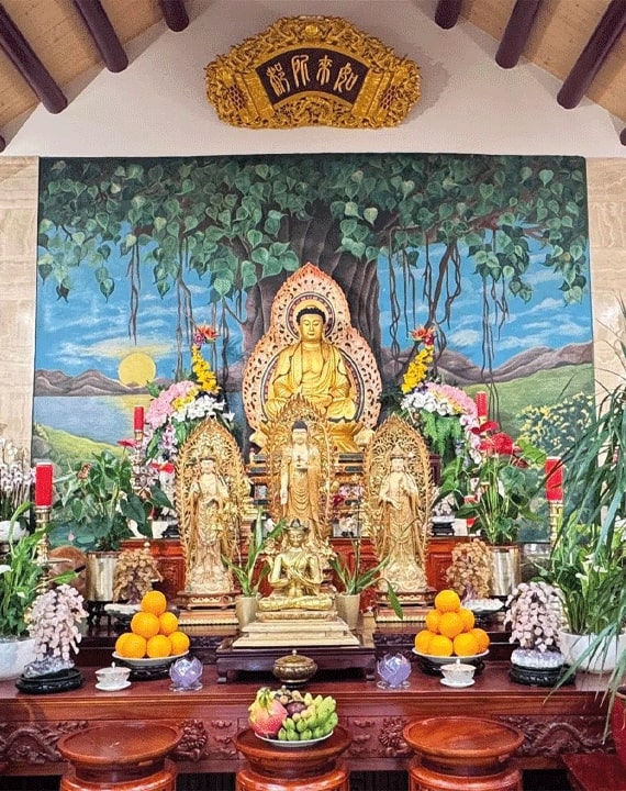 Architecte rénovation Bois-Guillaume – architecture inclusive et design intérieur pour foyers et centres d’accueil à Rouen, Bois-Guillaume et environs